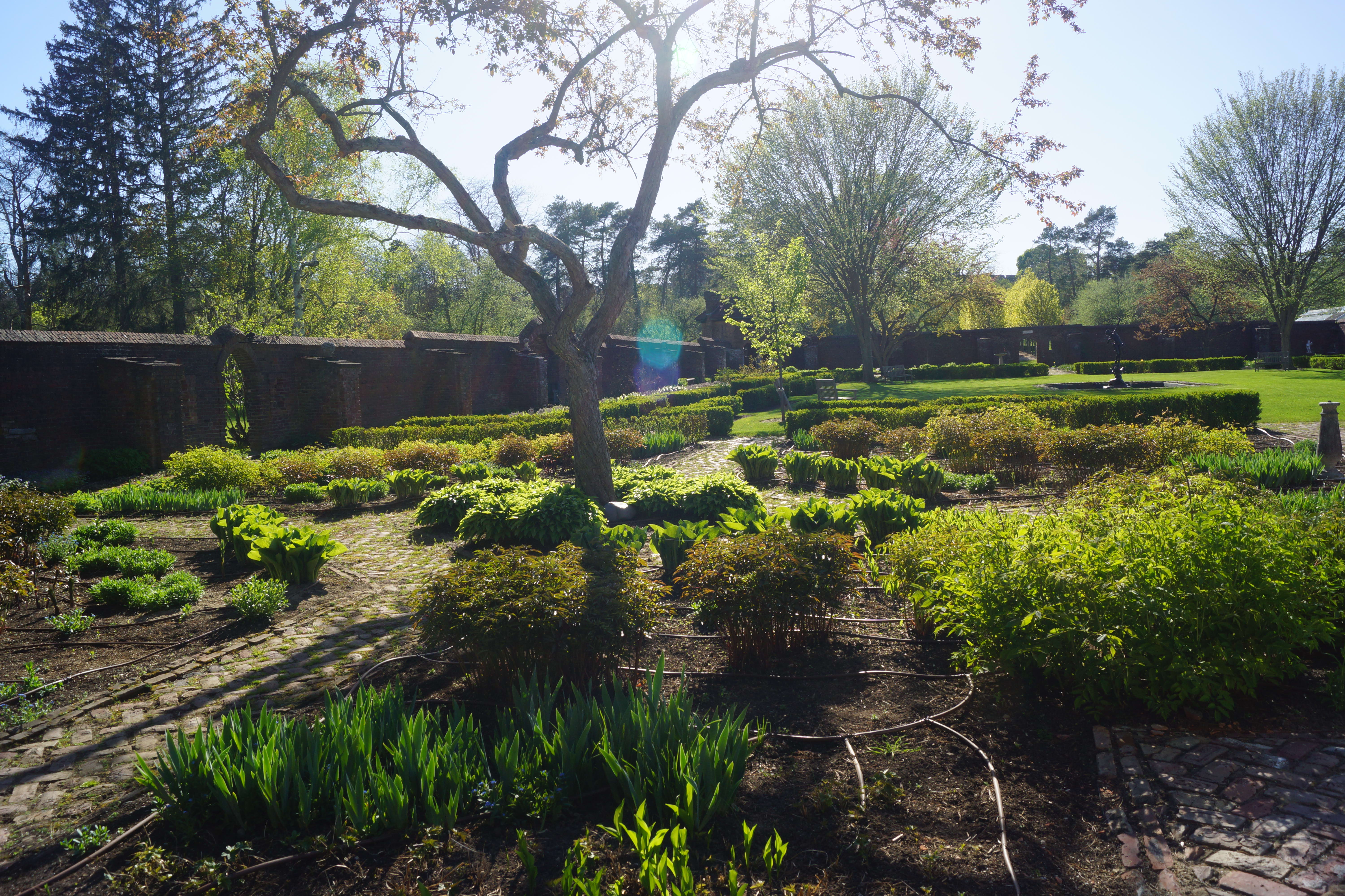 Kings Garden