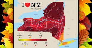 2024 Fall Foliage Report for the Lower Adirondack Region